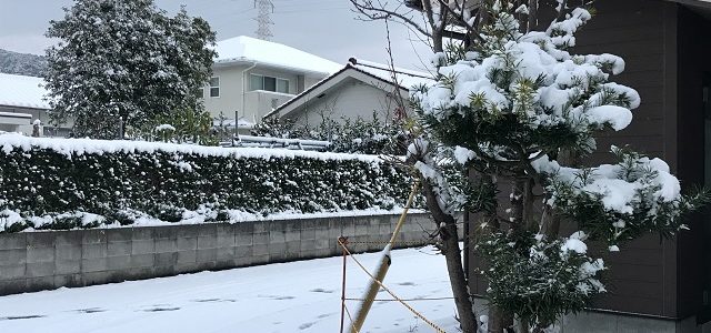 鹿児島で降雪！